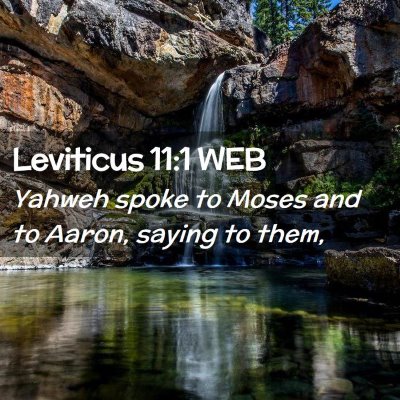 Picture 02 - Leviticus 11:1 WEB - Yahweh spoke to Moses and to Aaron, saying to - Bible Verse Picture