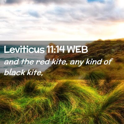 Picture 02 - Leviticus 11:14 WEB - and the red kite, any kind of black - Bible Verse Picture