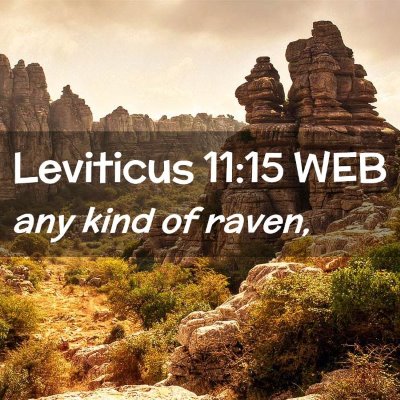 Picture 02 - Leviticus 11:15 WEB - any kind of - Bible Verse Picture