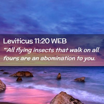 Picture 02 - Leviticus 11:20 WEB - 