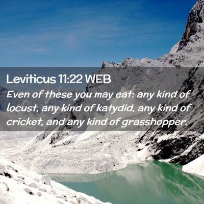 Picture 02 - Leviticus 11:22 WEB - Even of these you may eat: any kind of locust, - Bible Verse Picture