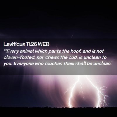 Picture 02 - Leviticus 11:26 WEB - 