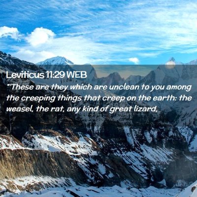 Picture 02 - Leviticus 11:29 WEB - 
