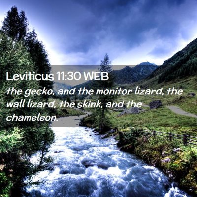 Picture 02 - Leviticus 11:30 WEB - the gecko, and the monitor lizard, the wall - Bible Verse Picture