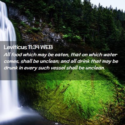 Picture 02 - Leviticus 11:34 WEB - All food which may be eaten, that on which water - Bible Verse Picture