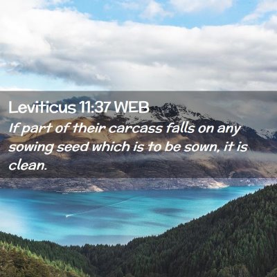 Picture 02 - Leviticus 11:37 WEB - If part of their carcass falls on any sowing seed - Bible Verse Picture