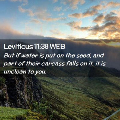 Picture 02 - Leviticus 11:38 WEB - But if water is put on the seed, and part of - Bible Verse Picture