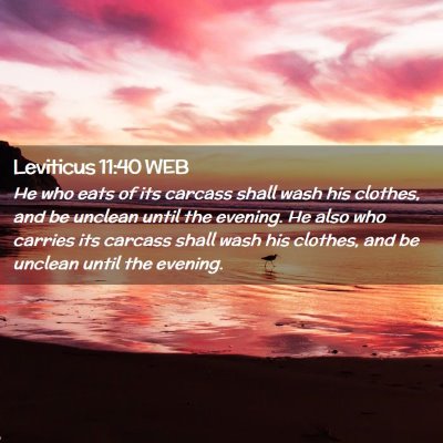 Picture 02 - Leviticus 11:40 WEB - He who eats of its carcass shall wash his - Bible Verse Picture