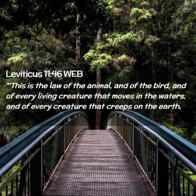 Picture 02 - Leviticus 11:46 WEB - 