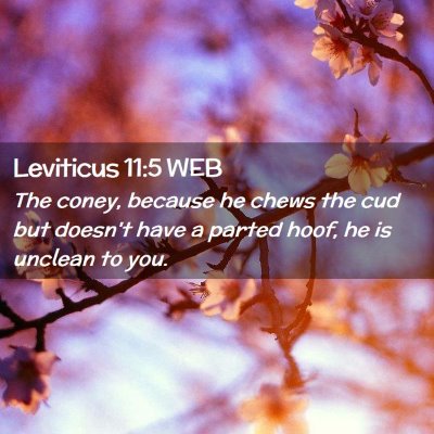 Picture 02 - Leviticus 11:5 WEB - The coney, because he chews the cud but doesn't - Bible Verse Picture