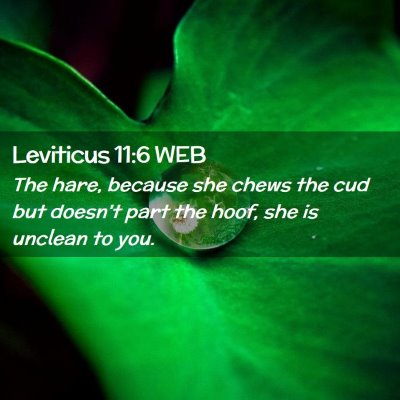 Picture 02 - Leviticus 11:6 WEB - The hare, because she chews the cud but doesn't - Bible Verse Picture