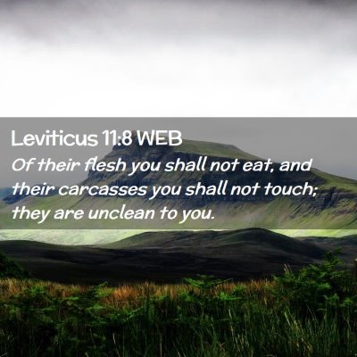 Picture 02 - Leviticus 11:8 WEB - Of their flesh you shall not eat, and their - Bible Verse Picture