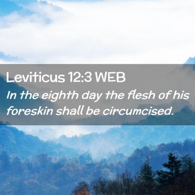 Picture 02 - Leviticus 12:3 WEB - In the eighth day the flesh of his foreskin shall - Bible Verse Picture