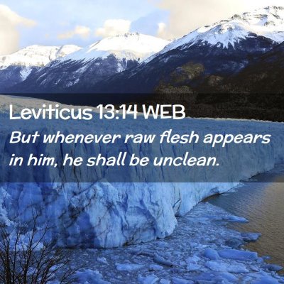 Picture 02 - Leviticus 13:14 WEB - But whenever raw flesh appears in him, he shall - Bible Verse Picture