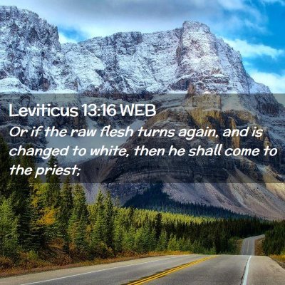 Picture 02 - Leviticus 13:16 WEB - Or if the raw flesh turns again, and is changed - Bible Verse Picture