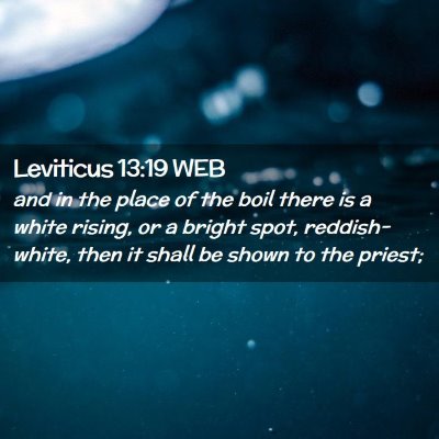 Picture 02 - Leviticus 13:19 WEB - and in the place of the boil there is a white - Bible Verse Picture