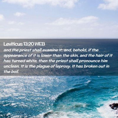 Picture 02 - Leviticus 13:20 WEB - and the priest shall examine it; and, behold, if - Bible Verse Picture
