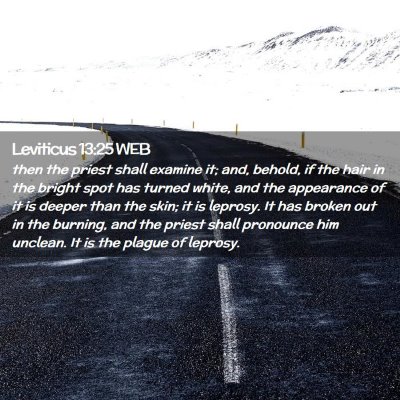 Picture 02 - Leviticus 13:25 WEB - then the priest shall examine it; and, behold, if - Bible Verse Picture