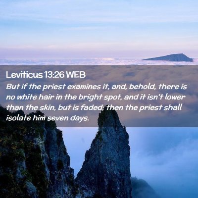 Picture 02 - Leviticus 13:26 WEB - But if the priest examines it, and, behold, there - Bible Verse Picture