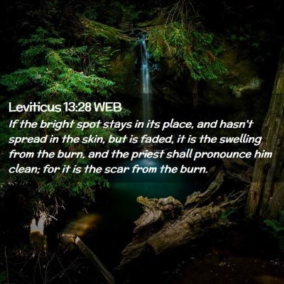 Picture 02 - Leviticus 13:28 WEB - If the bright spot stays in its place, and hasn't - Bible Verse Picture