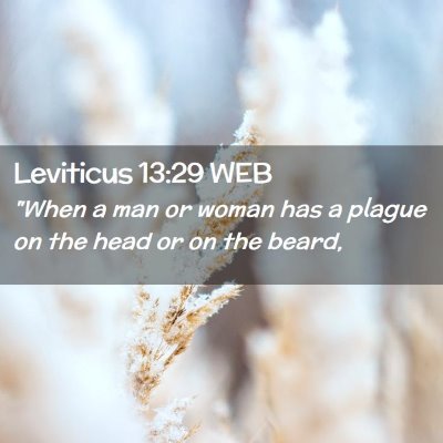 Picture 02 - Leviticus 13:29 WEB - 