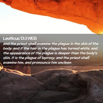 Picture 02 - Leviticus 13:3 WEB - and the priest shall examine the plague in the - Bible Verse Picture