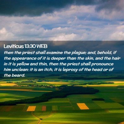 Picture 02 - Leviticus 13:30 WEB - then the priest shall examine the plague; and, - Bible Verse Picture