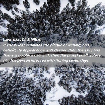 Picture 02 - Leviticus 13:31 WEB - If the priest examines the plague of itching, - Bible Verse Picture