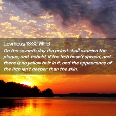 Picture 02 - Leviticus 13:32 WEB - On the seventh day the priest shall examine the - Bible Verse Picture