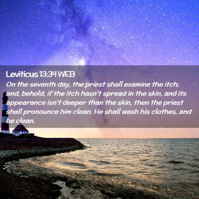 Picture 02 - Leviticus 13:34 WEB - On the seventh day, the priest shall examine the - Bible Verse Picture