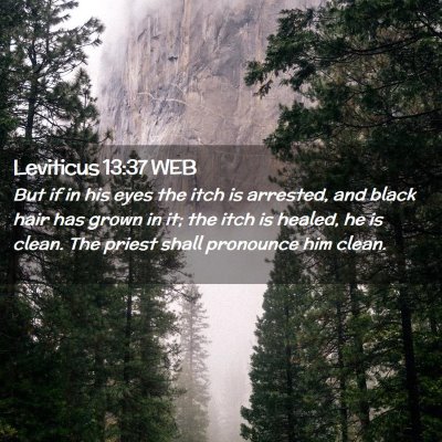 Picture 02 - Leviticus 13:37 WEB - But if in his eyes the itch is arrested, and - Bible Verse Picture