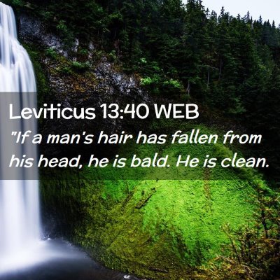 Picture 02 - Leviticus 13:40 WEB - 