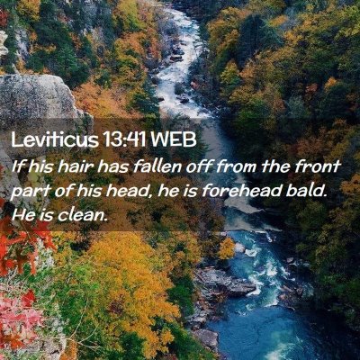 Picture 02 - Leviticus 13:41 WEB - If his hair has fallen off from the front part of - Bible Verse Picture