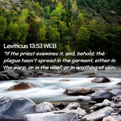 Picture 02 - Leviticus 13:53 WEB - 