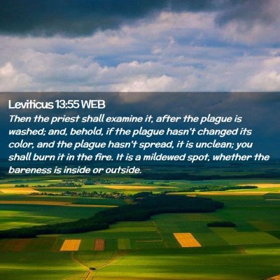 Picture 02 - Leviticus 13:55 WEB - Then the priest shall examine it, after the - Bible Verse Picture