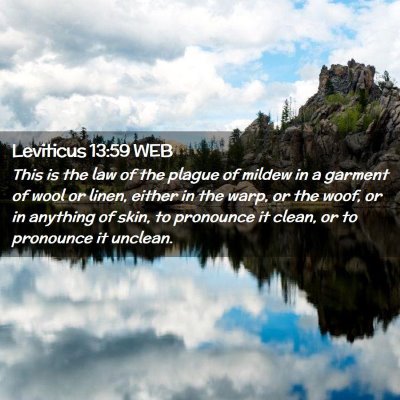 Picture 02 - Leviticus 13:59 WEB - This is the law of the plague of mildew in a - Bible Verse Picture