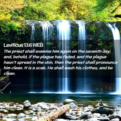 Picture 02 - Leviticus 13:6 WEB - The priest shall examine him again on the seventh - Bible Verse Picture