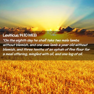 Picture 02 - Leviticus 14:10 WEB - 