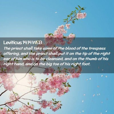 Picture 02 - Leviticus 14:14 WEB - The priest shall take some of the blood of the - Bible Verse Picture