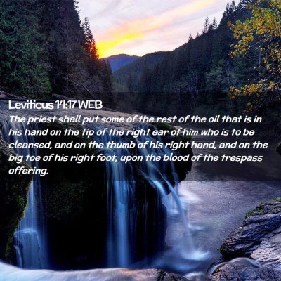 Picture 02 - Leviticus 14:17 WEB - The priest shall put some of the rest of the oil - Bible Verse Picture