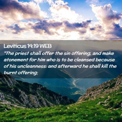 Picture 02 - Leviticus 14:19 WEB - 