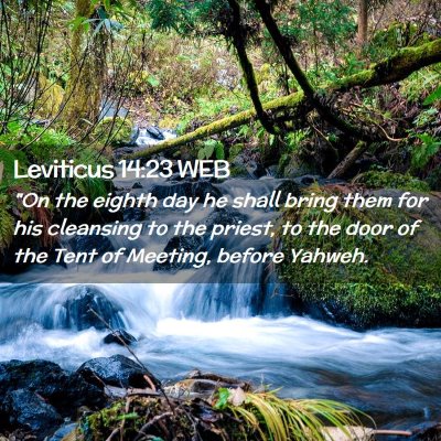 Picture 02 - Leviticus 14:23 WEB - 