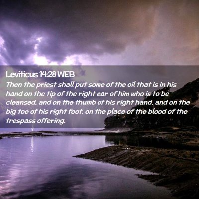 Picture 02 - Leviticus 14:28 WEB - Then the priest shall put some of the oil that is - Bible Verse Picture