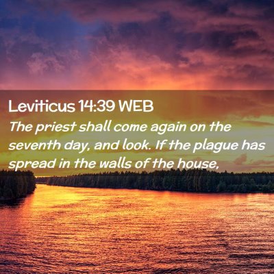 Picture 02 - Leviticus 14:39 WEB - The priest shall come again on the seventh day, - Bible Verse Picture