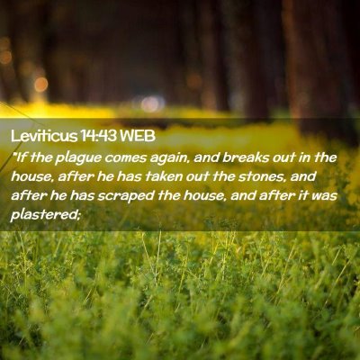Picture 02 - Leviticus 14:43 WEB - 