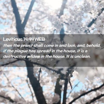 Picture 02 - Leviticus 14:44 WEB - then the priest shall come in and look; and, - Bible Verse Picture