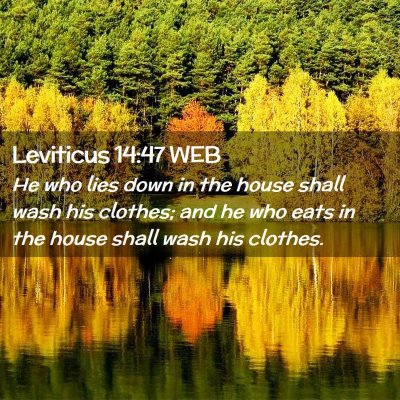 Picture 02 - Leviticus 14:47 WEB - He who lies down in the house shall wash his - Bible Verse Picture