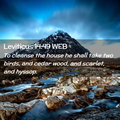 Picture 02 - Leviticus 14:49 WEB - To cleanse the house he shall take two birds, and - Bible Verse Picture