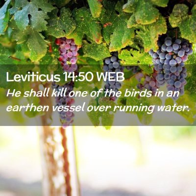 Picture 02 - Leviticus 14:50 WEB - He shall kill one of the birds in an earthen - Bible Verse Picture