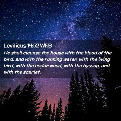 Picture 02 - Leviticus 14:52 WEB - He shall cleanse the house with the blood of the - Bible Verse Picture